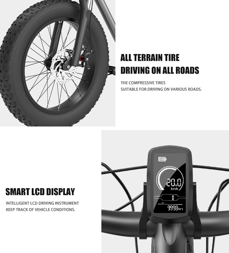 Manufacturer New Design Fat Tire Ebike with 10ah 48V 500W E-Bike