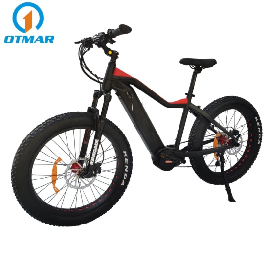 Hot Sale MID Drive Motor Electric Mountain Electric Fat Tire Bike Wholesale Price Cheap Factory Direct Deliver 2022 Ebike