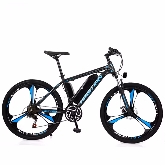 Wholesale 250W Aluminum Alloy Bicicleta 29er Mountain Electric Bike