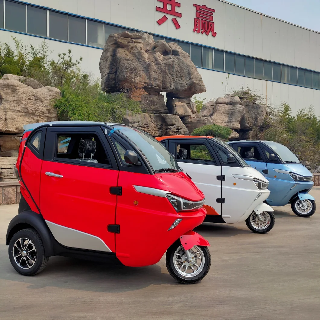 City Family Use 35km/H Closed Cabin Scooter Electric Trike with L2e Coc