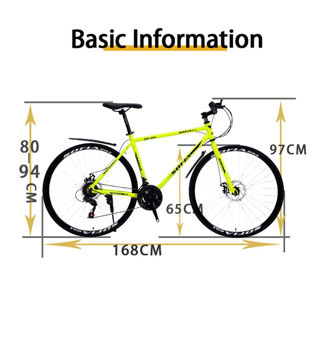 Latest Factory in Stock Direct Price 21 Speed Frame 20&quot; 24&quot; 26&quot; 27.5&quot; 29&quot; Electric Mountain Bike Bicycle MTB Bike Alloy Mountain Bike Fold Bike Road Bike