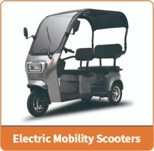 EEC Electric Tricycle for Passengers Manufactured by Jinpeng Group