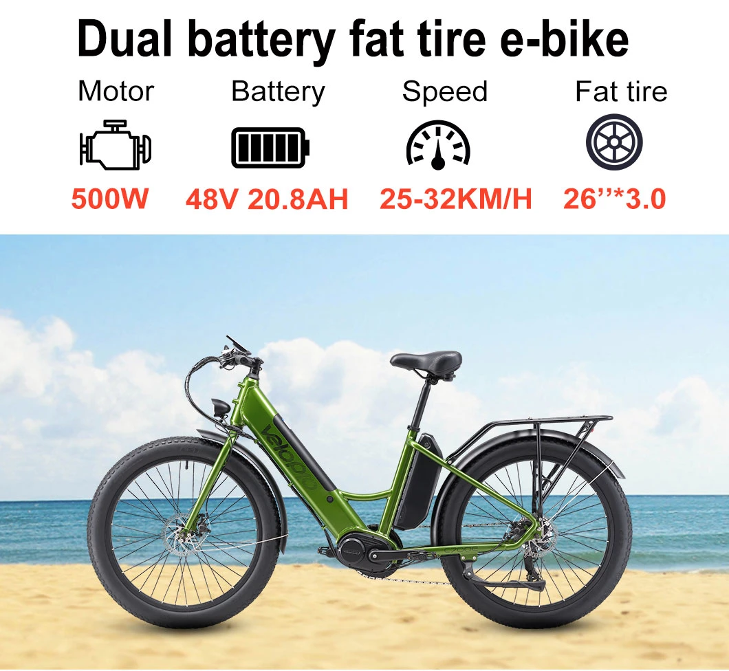 New 2022-2023 Double Battery Fat Tire Racing Motorcycle