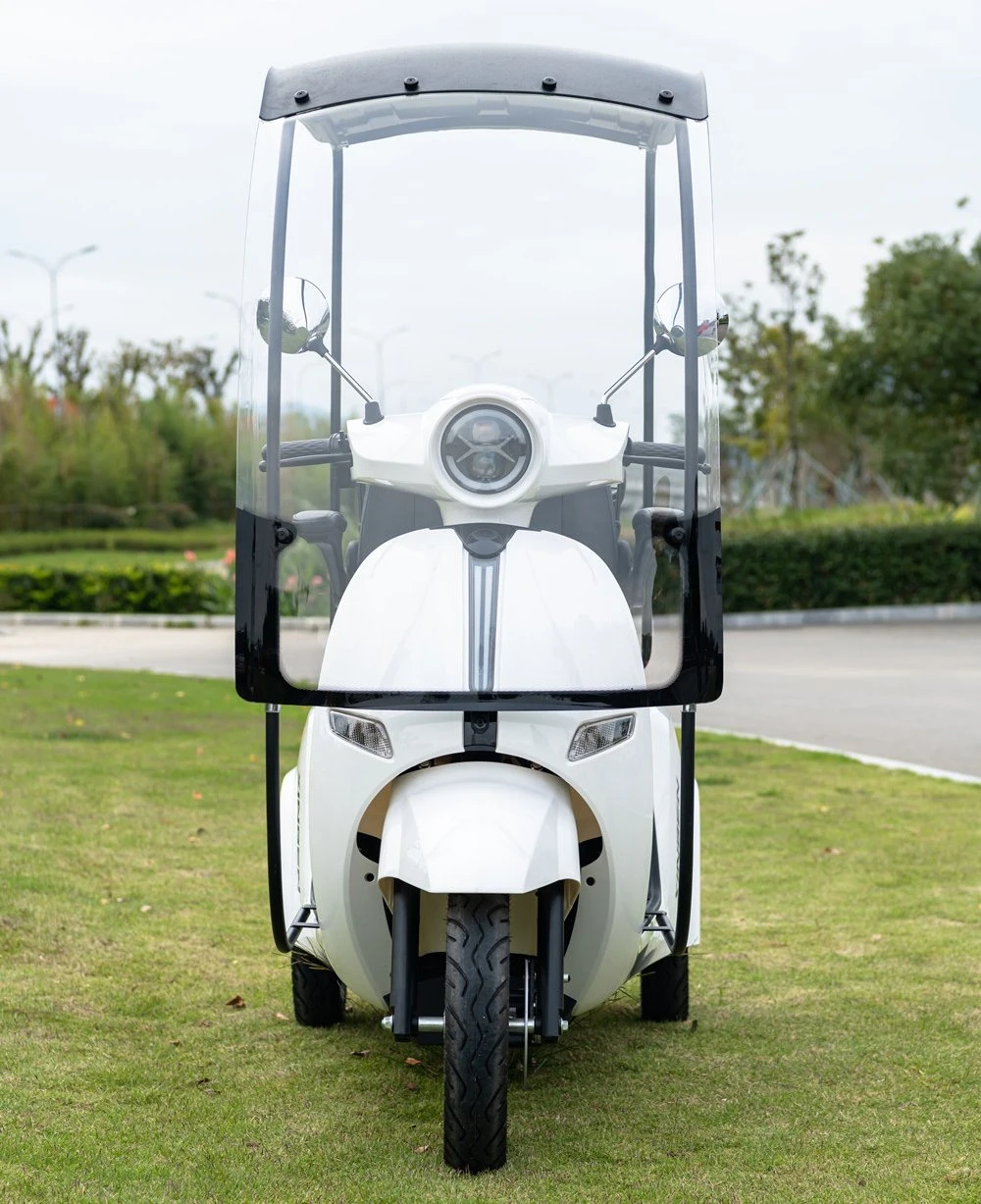 CE EEC Certificated Green Energy Battery Operated Adult 3 Wheels Leisure Electric Tricycle with 1000W Motor Vehicle