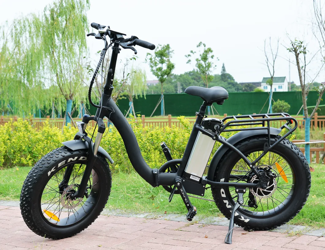 OEM 48V 13ah 7-Speed 800W Electric Bike for Adult