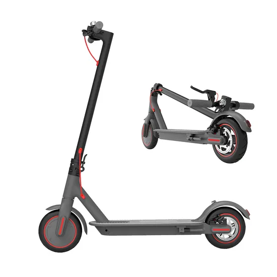 Leisure 8.5 Inch 36V 10ah 350W Foldable Portable Adult Electric Scooter