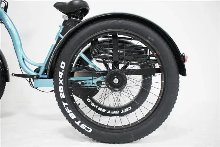 Convenient City Drive Multicolored Commuting Hot Sale 48V 800W Bafang Rear Hub Motor Rear Front Baskets Electric Trike