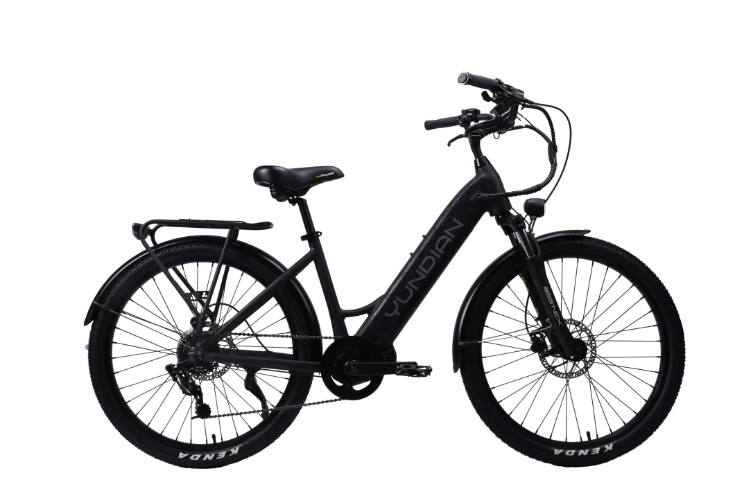 China MID Drive Vintage Electric Bike for Sale Electric Bicycle Buy From Factory