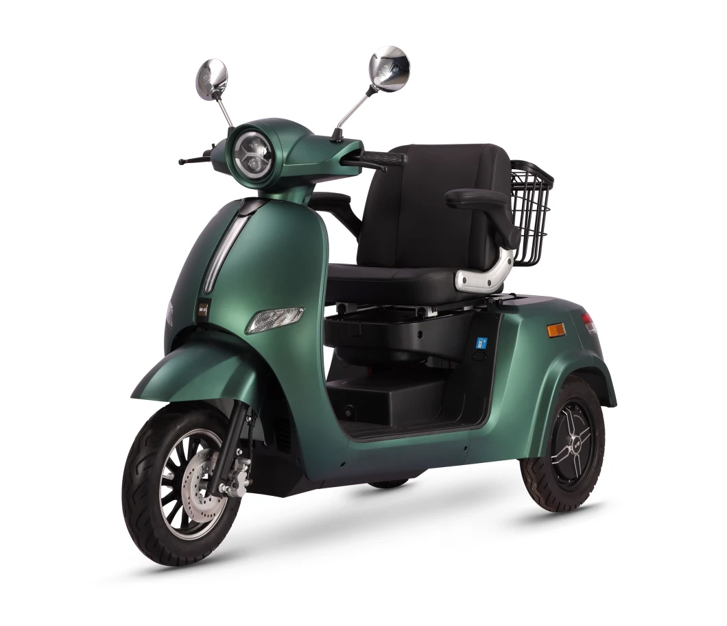 CE EEC Certificated Green Energy Battery Operated Adult 3 Wheels Leisure Electric Tricycle with 1000W Motor Vehicle