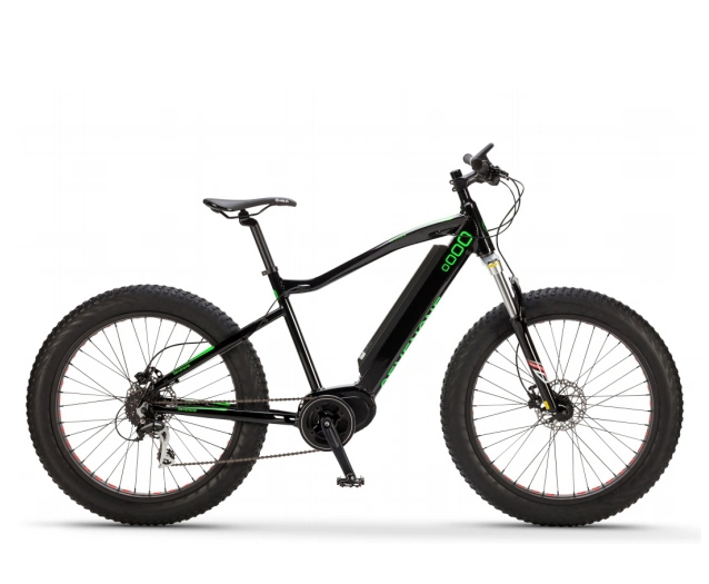 Wholesale Fat Tyre Mountain Electric Bike with Disc Brake
