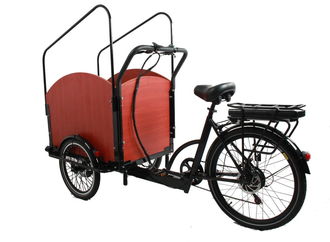 New Arrival Family Food Delivery Durable Electric City Bike 500W High-Efficient Rear Hub Motor Steel Frame E Trikes