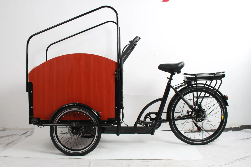 Best 500W Bafang Brushless Motor Etrike with Rainproof Shed 2 Seats Family Use City Bike Electric Trike