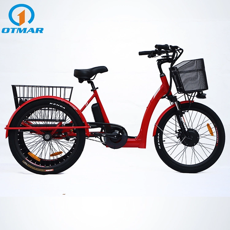 China OEM Cheap Price Cargo Three Wheel Tricycle Electric 24 Inch Nexus 3 Speed City Electric Trike Dual Rear Carrier Battery E Trike