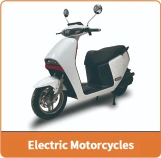 Daily Life Use Passenger Electric Trike Tricycle City Use Leisure 3 Wheels Trike