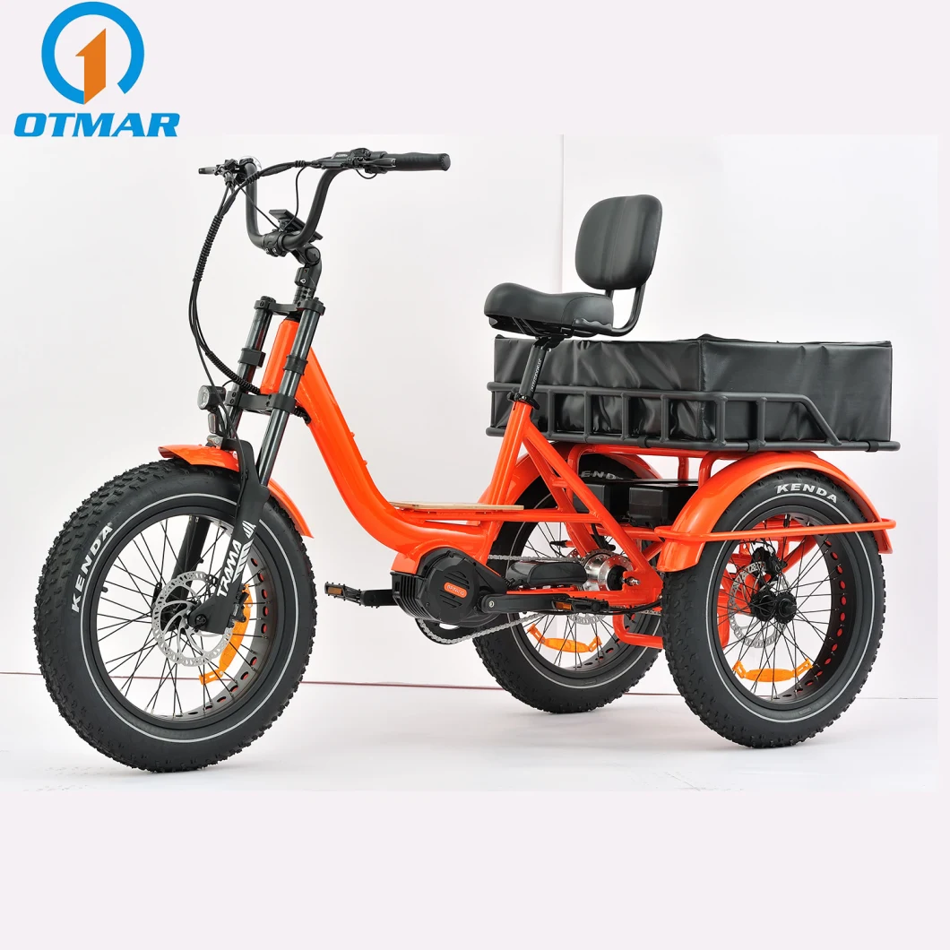 Cargo MID Motor High Power E Trike 3 Wheel Customized Adult Electric Tricycle