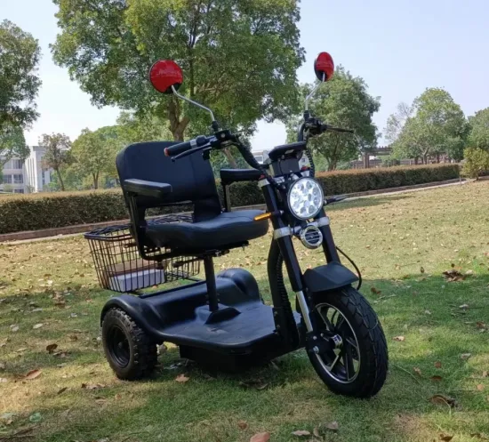 New Arrival 500W-750W City Coco Trike Three Wheels Electric Tricycles Scooter