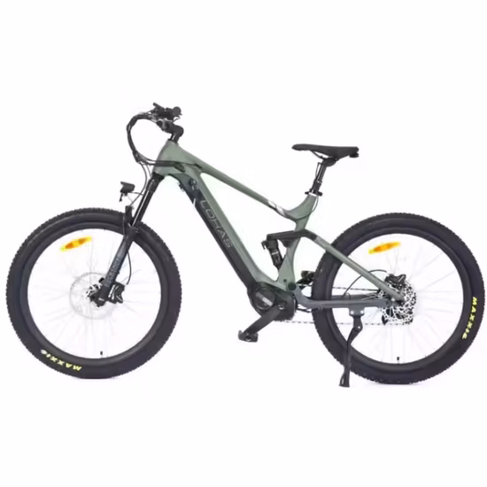 MID Drive Bafang Motor Fat Tire Electric Bicycle with 48V 15ah Lithium Battery