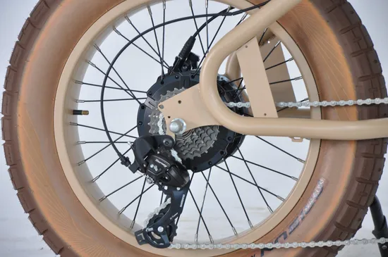 20*4.0 Fat Tire Male Mountain and Commuting Aluminium Frame Electric Bike E-Bicycle Ebike