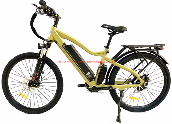 26*4.0 MID-Drive 48V12.8ah Li-ion Battery, 750W/1000W Bafang Brushless Electric City Bike