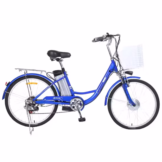 China MID Drive Vintage Electric Bike for Sale Electric Bicycle Buy From Factory