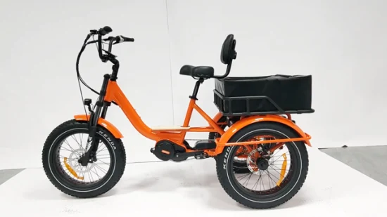 Cargo MID Motor High Power E Trike 3 Wheel Customized Adult Electric Tricycle