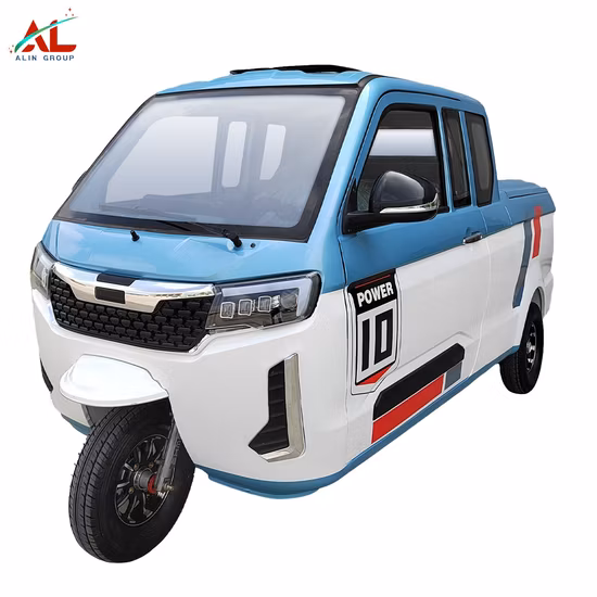 Hot Sale Electric Bike 250W Motor 3 Wheels Electric Cargo Bike with Wooden Box Tricycle for Carry Kids and Pets