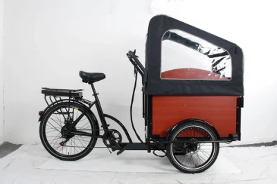 Best 500W Bafang Brushless Motor Etrike with Rainproof Shed 2 Seats Family Use City Bike Electric Trike