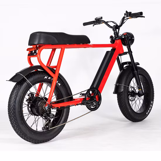 Joykie New Powerful 2 Seats Retro Style 20 Inch 750W 48V Fat Tire Electric Bike